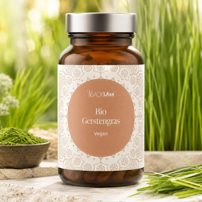 Veganes bio Gerstengras Nahrungsergänzungsmittel