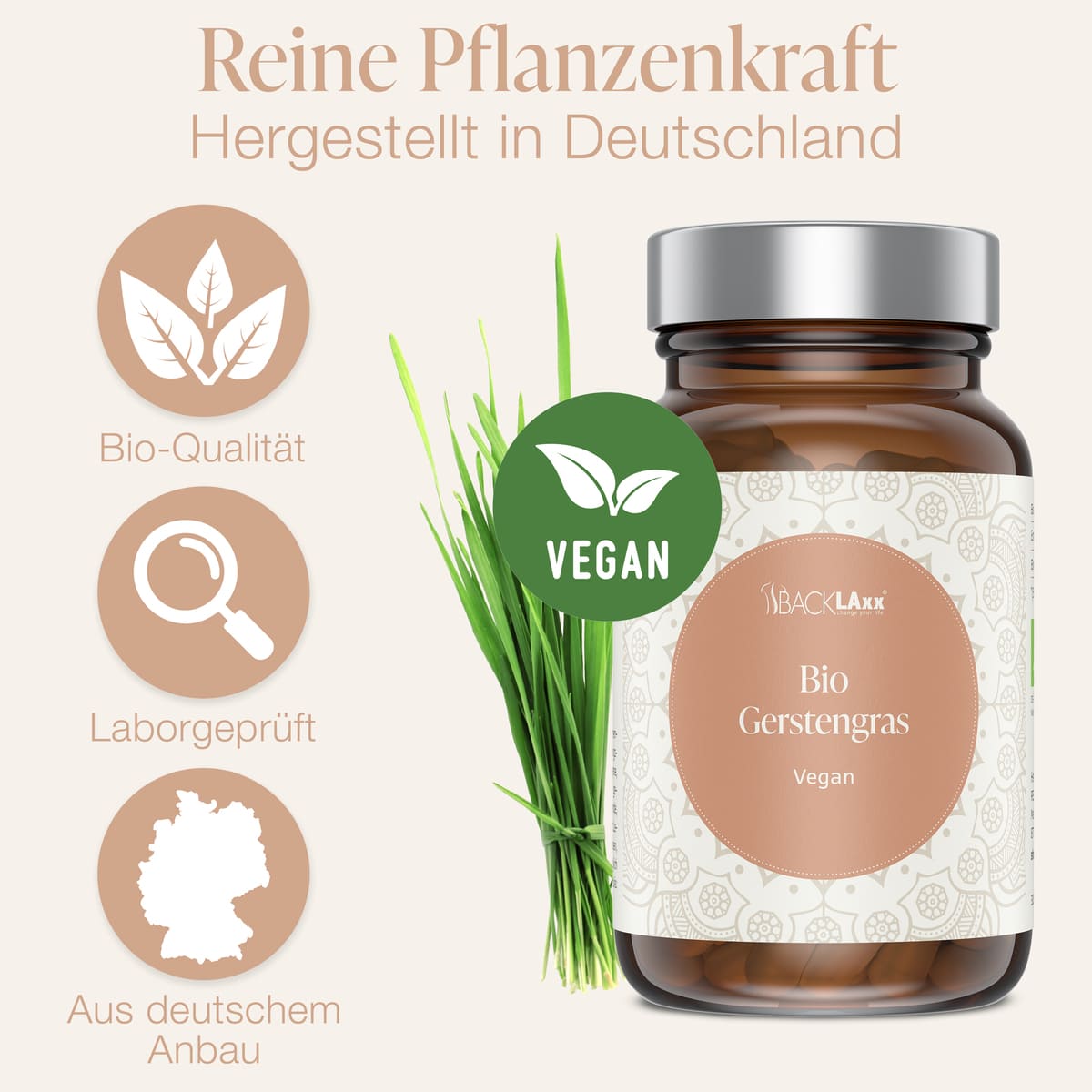 BACKLAxx Bio Gerstengras vegan - Laborgeprüfte Pflanzenkraft aus deutschem Anbau in Braunglasflasche mit grünem Gras