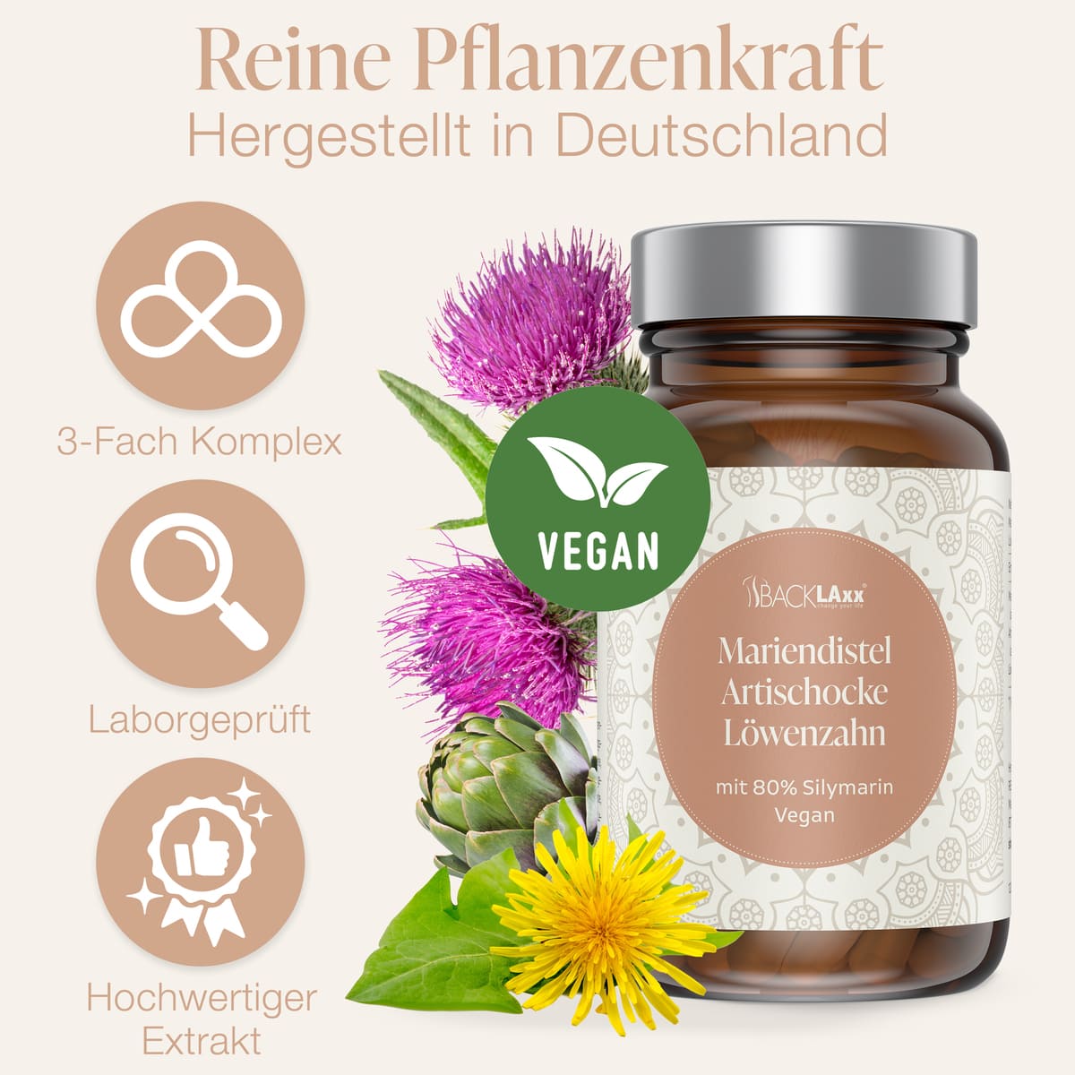 BACKLAXX® Mariendistel-Kapseln im Braunglas vor heimischer Milchdistelblüte und Samen; vegan, laborgeprüft, schonend wasserextrahiert, Made in Germany.
