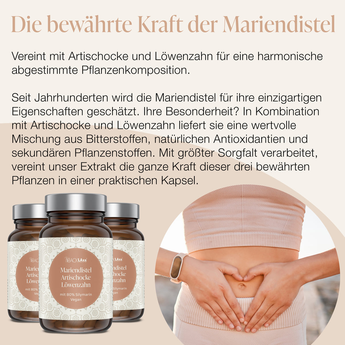 Die bewährte Kraft der Mariendistel - Hochwertige Kapseln mit 80% Silymarin, Artischocke und Löwenzahn für gesunde Leberfunktion