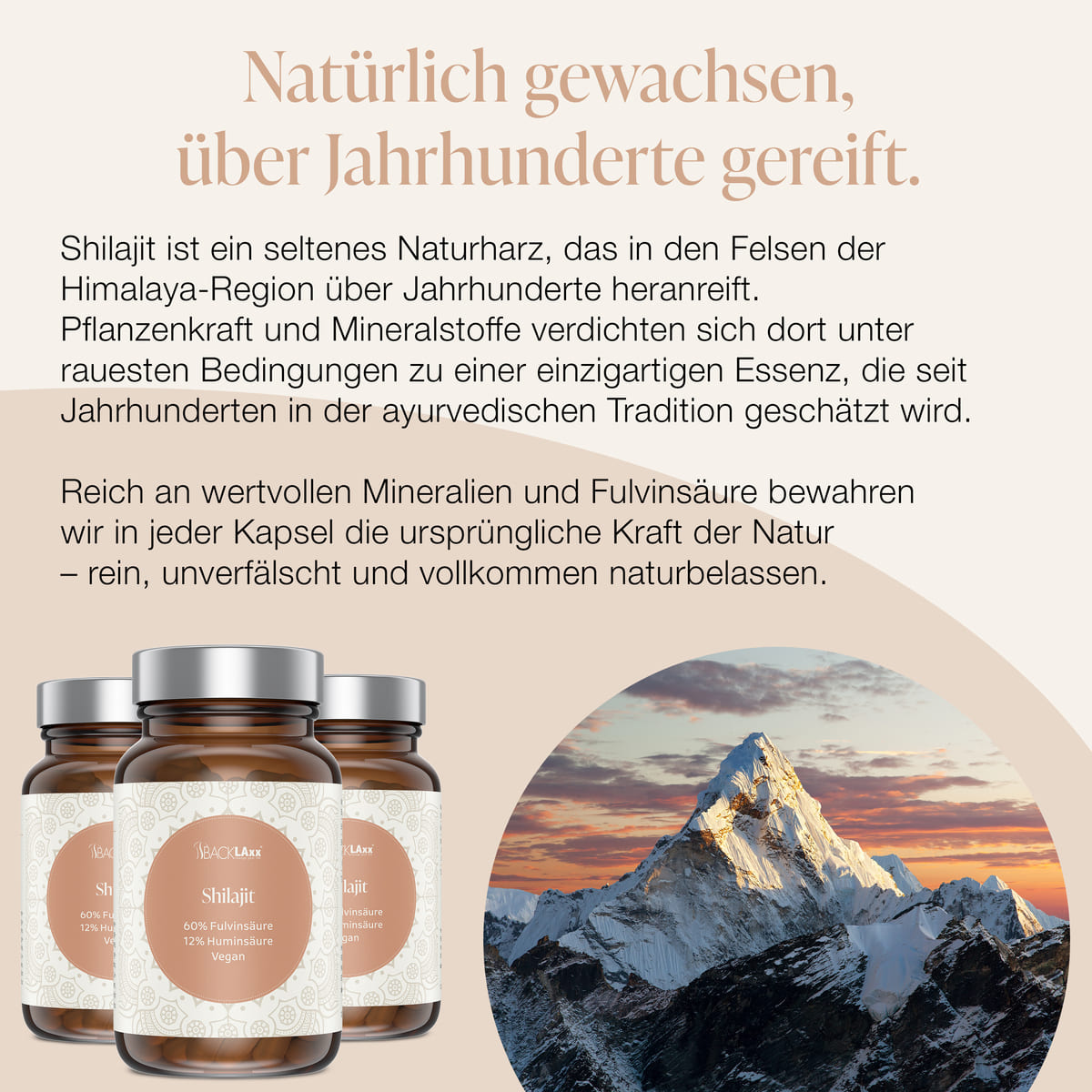 BACKLAXX Shilajit – natürliches Himalaya-Naturharz, reich an Mineralien und Fulvinsäure, gereift über Jahrhunderte in den Bergen.