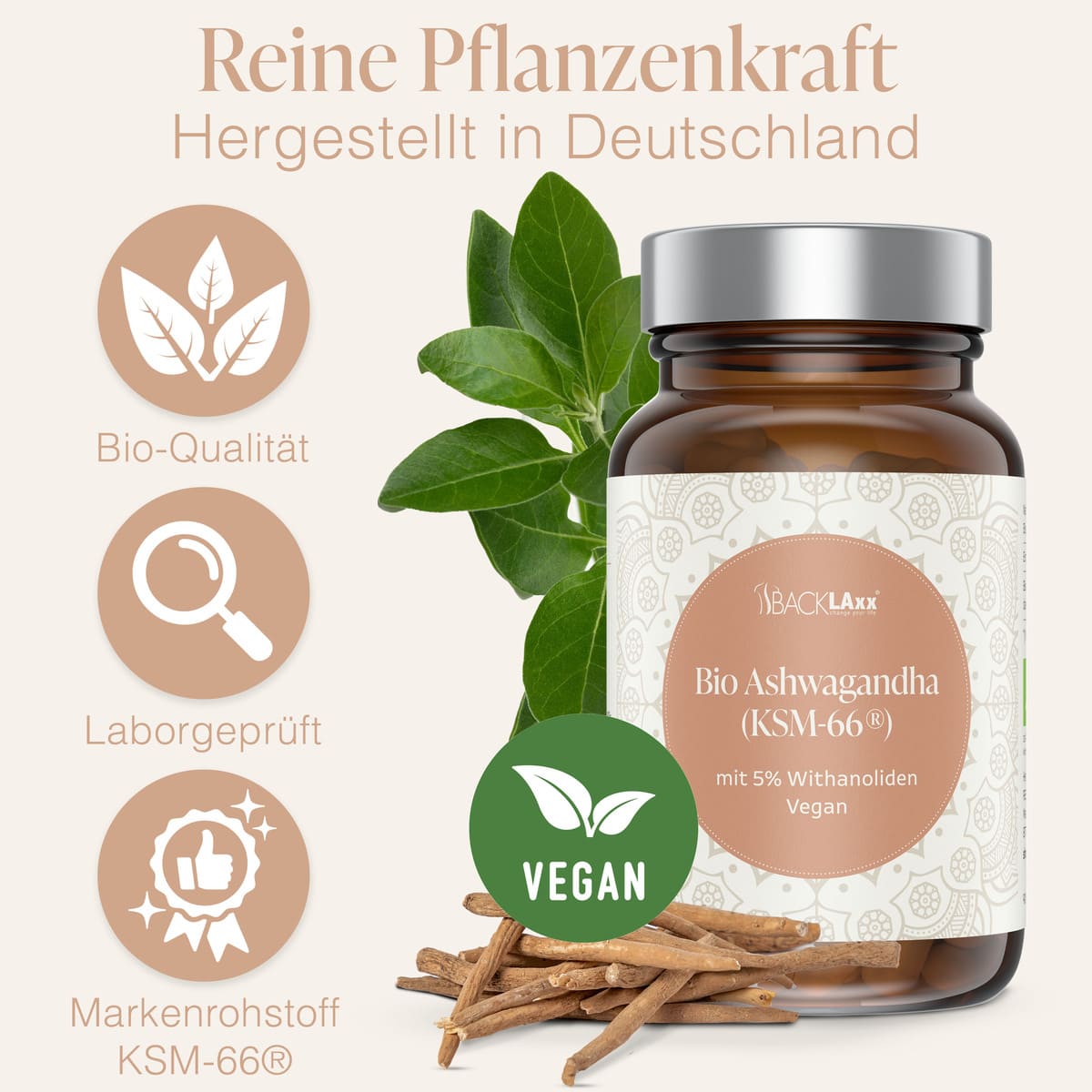 BACKLAXX Bio Ashwagandha KSM-66® mit 5% Withanoliden - Veganes Nahrungsergänzungsmittel in Bio-Qualität, laborgeprüft und in Deutschland hergestellt
