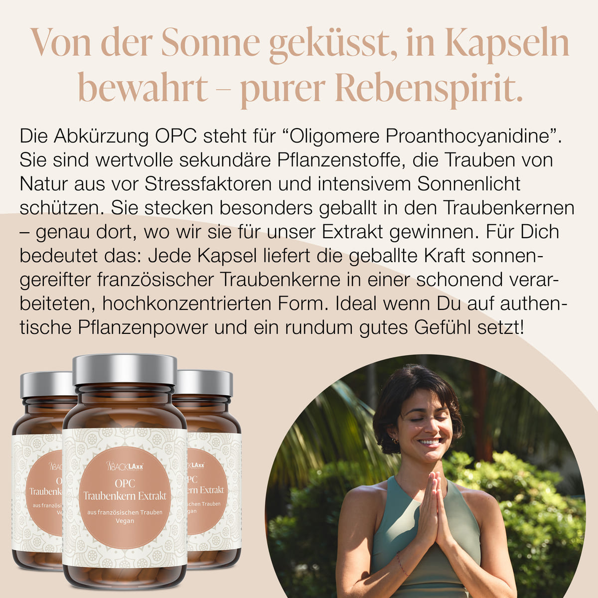 BACKLAXX OPC Traubenkern-Extrakt Erklärung - Oligomere Proanthocyanidine aus französischen Traubenkernen